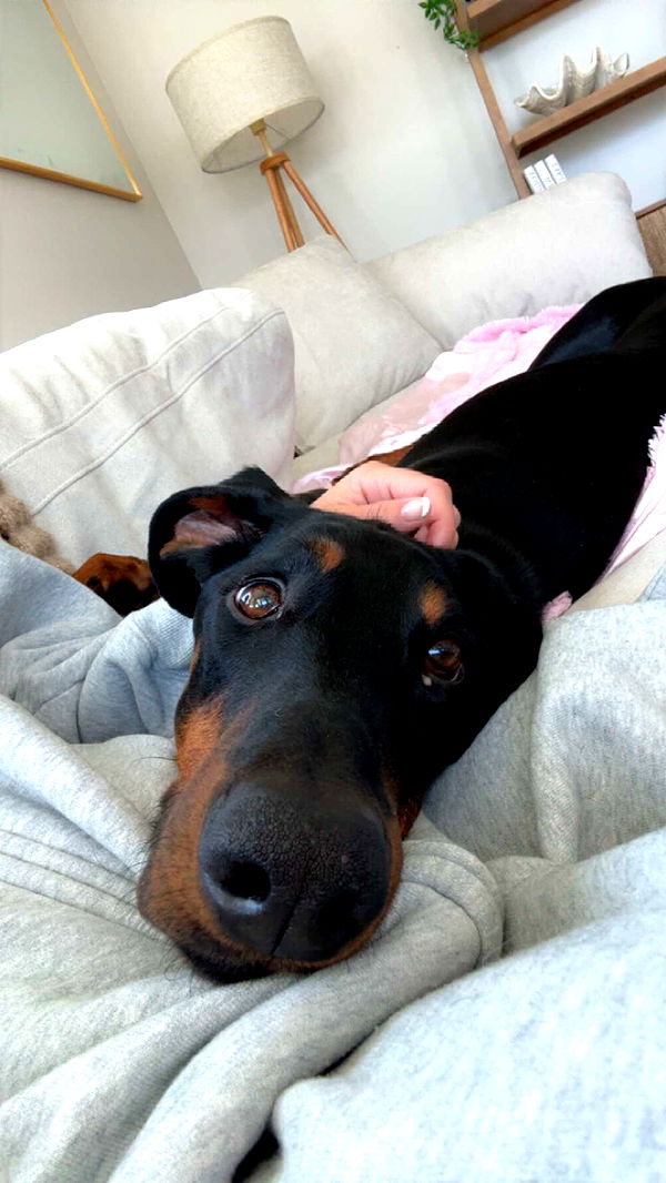 chloerosenbaum image ~ Altpins