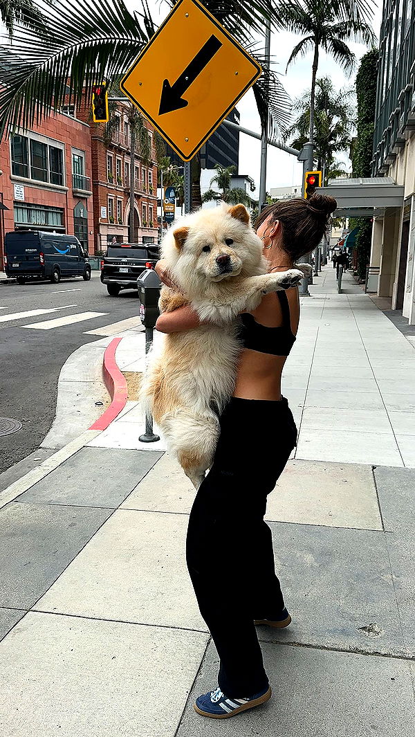 chloerosenbaum image ~ Altpins