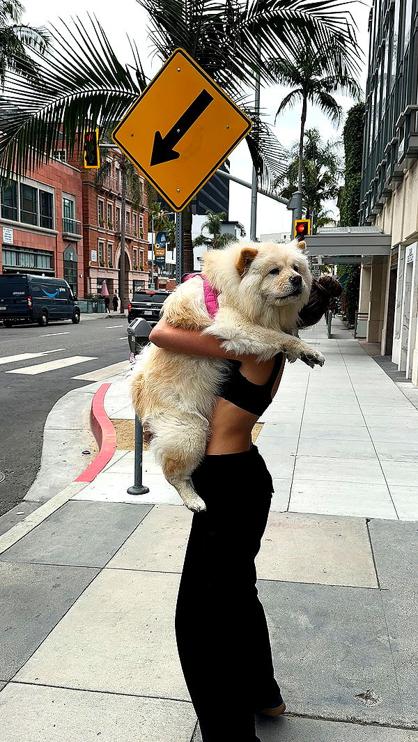 chloerosenbaum image ~ Altpins