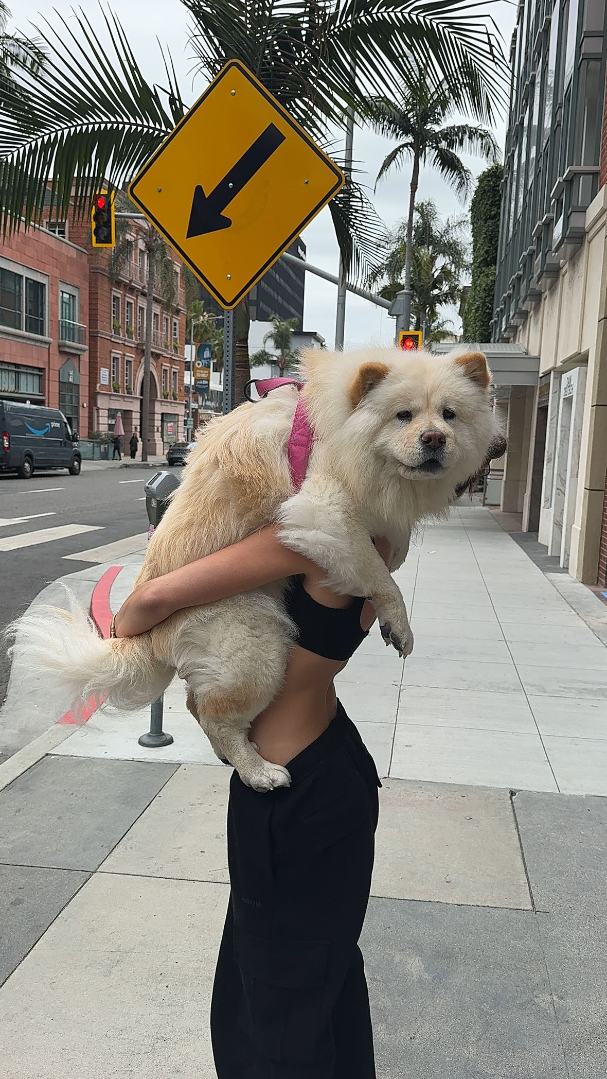 chloerosenbaum snapchat image archive image