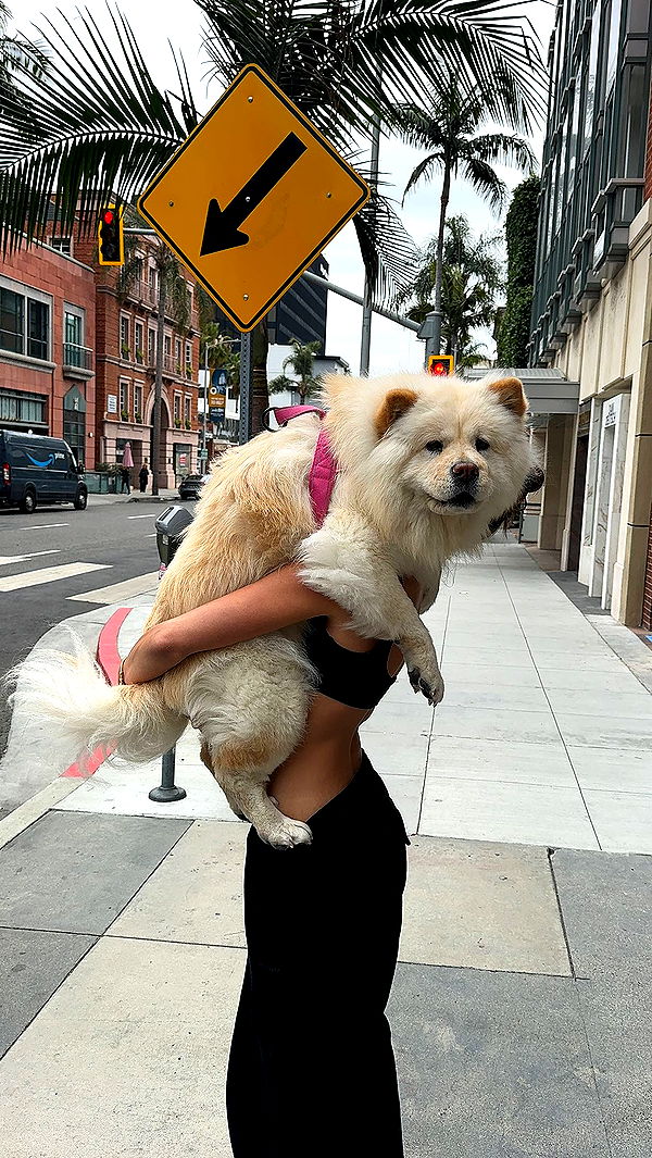 chloerosenbaum image ~ Altpins