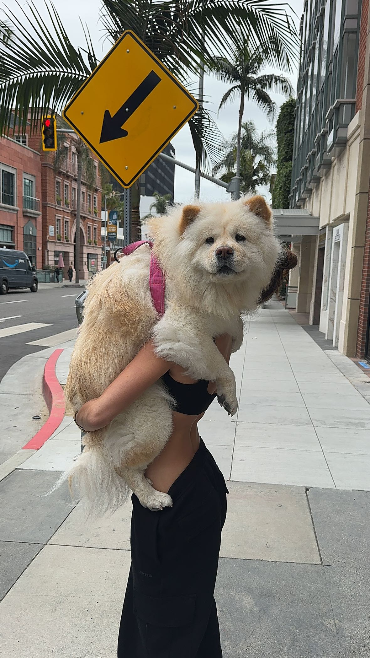 chloerosenbaum snapchat image archive image