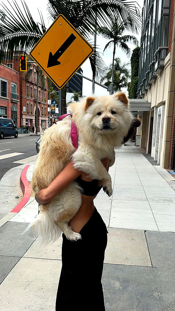 chloerosenbaum image ~ Altpins