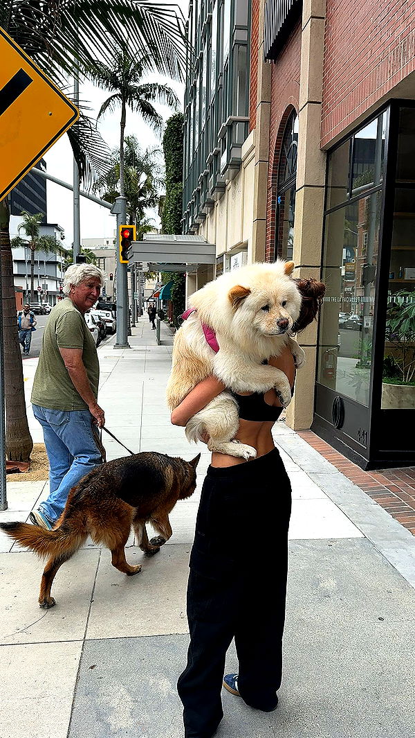 chloerosenbaum image ~ Altpins