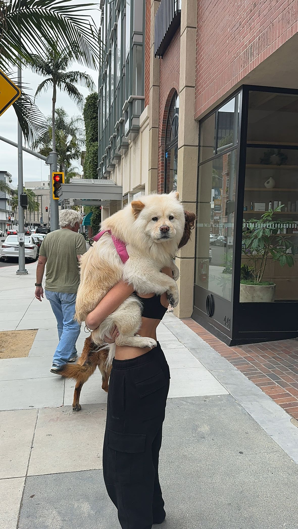 chloerosenbaum snapchat image archive image