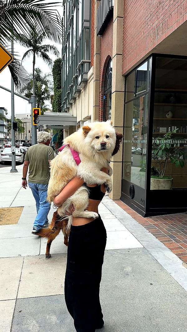 chloerosenbaum image ~ Altpins