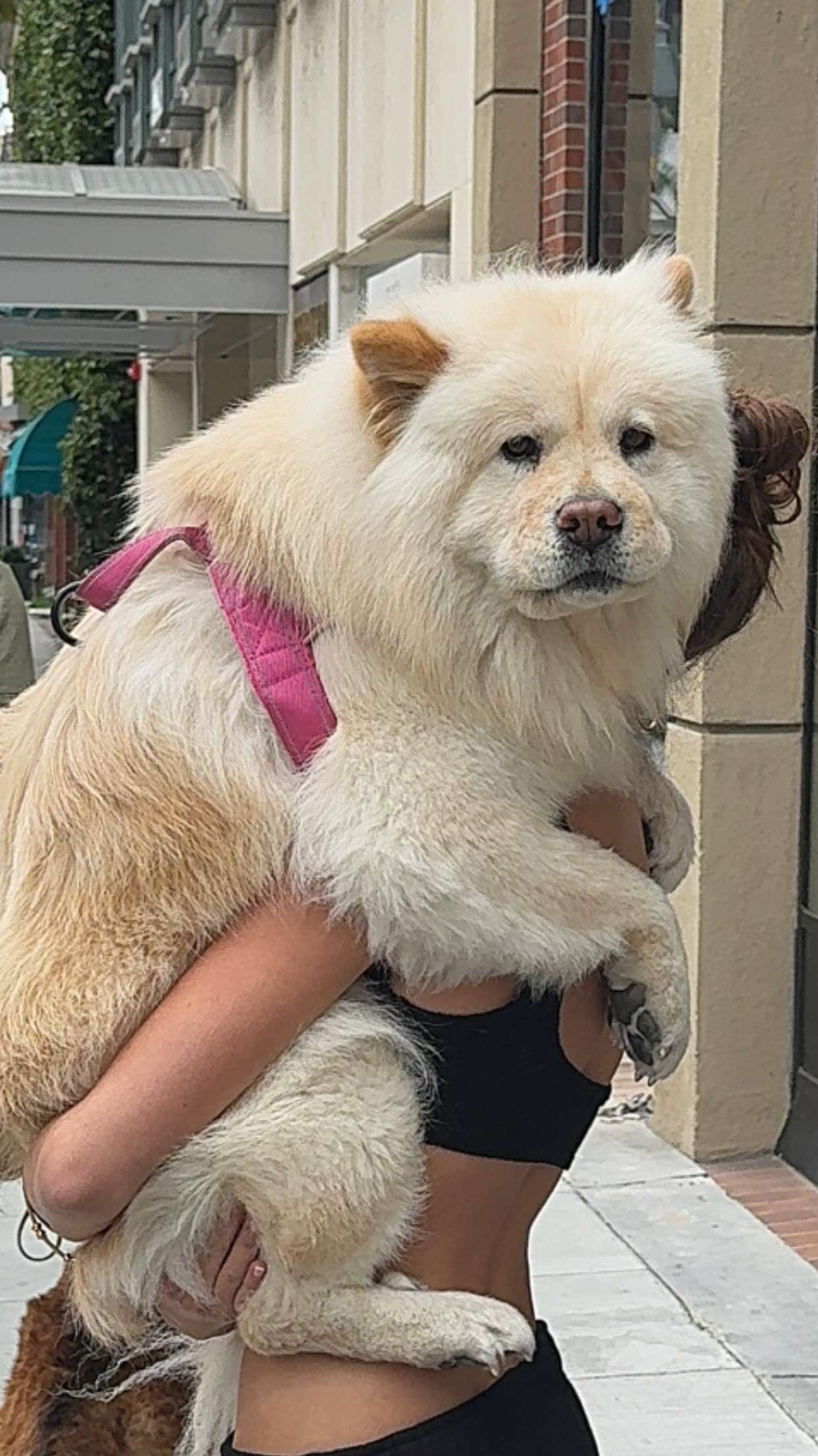 chloerosenbaum snapchat image archive image