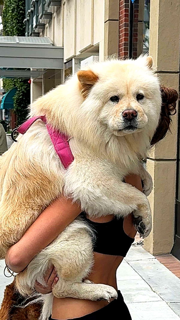 chloerosenbaum image ~ Altpins