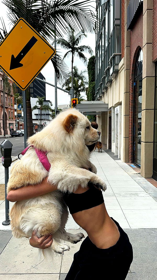 chloerosenbaum image ~ Altpins