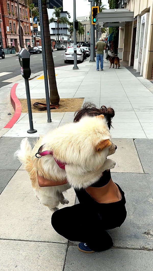 chloerosenbaum image ~ Altpins