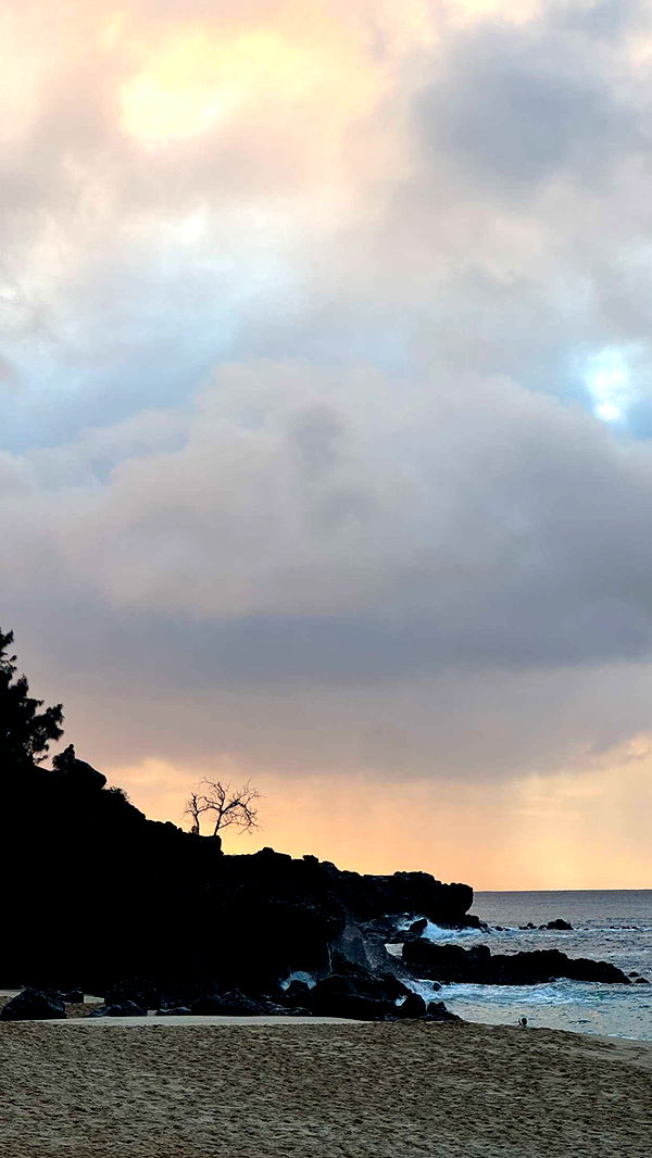 chloerosenbaum image ~ Altpins