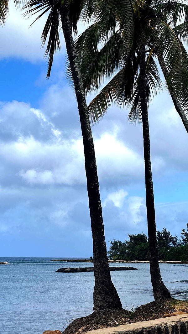 chloerosenbaum image ~ Altpins