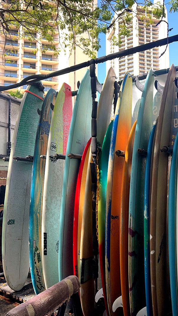 chloerosenbaum image ~ Altpins