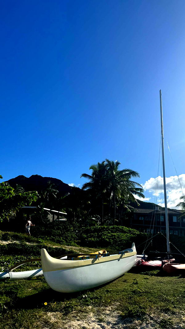 chloerosenbaum image ~ Altpins