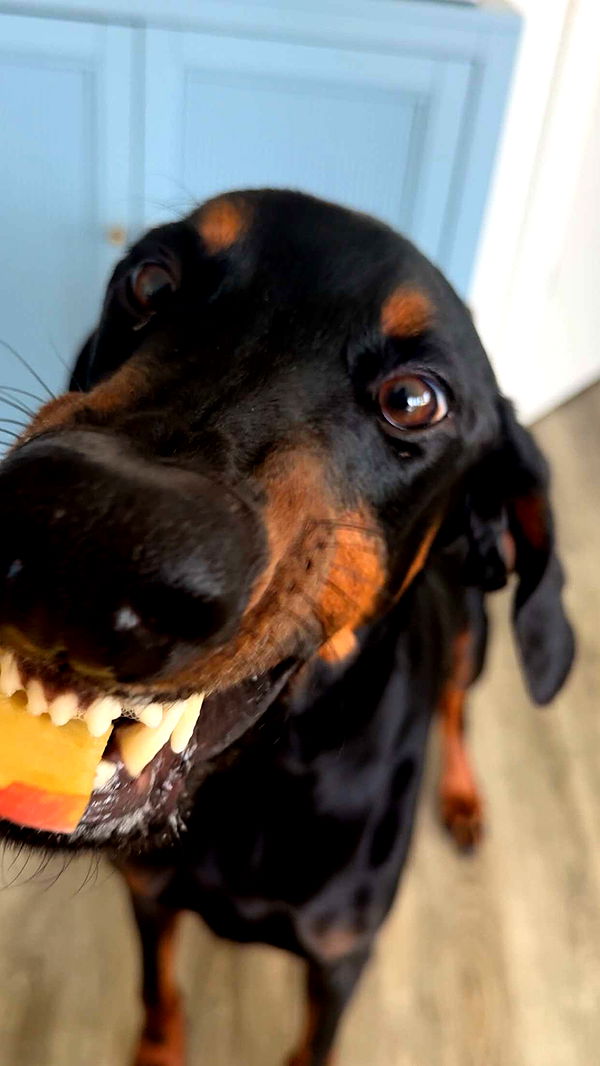 chloerosenbaum image ~ Altpins