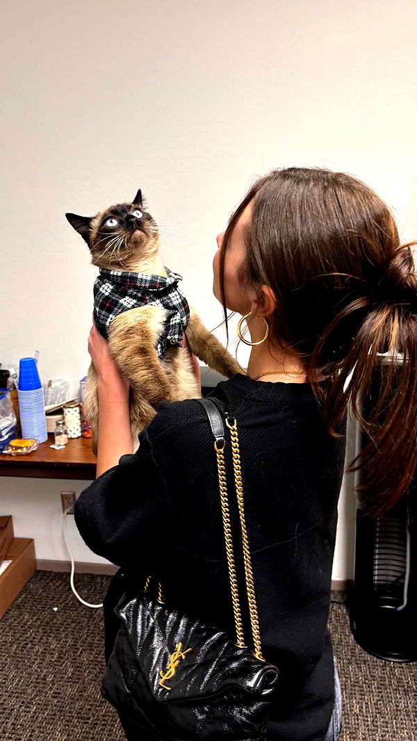 chloerosenbaum image ~ Altpins