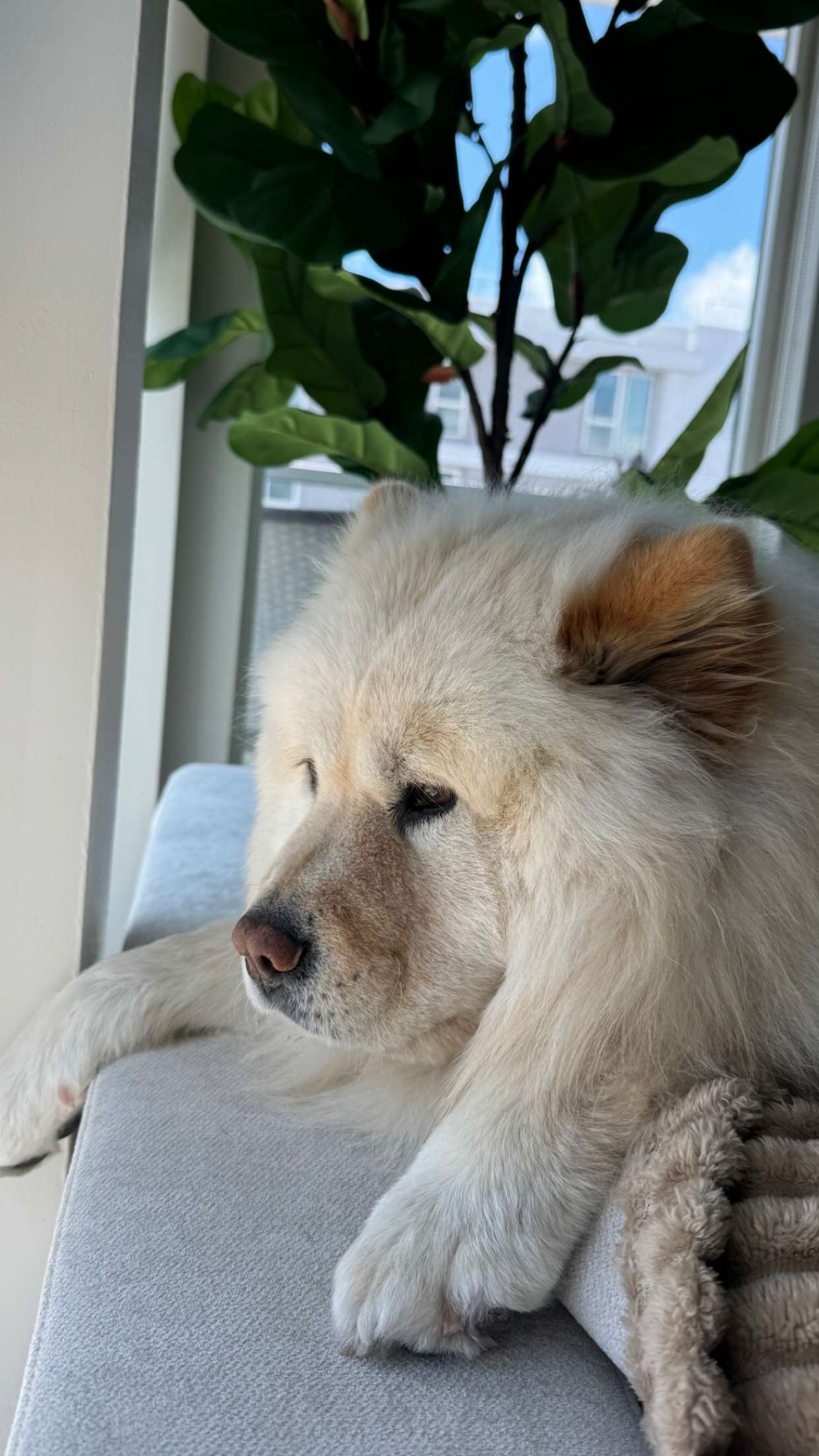 chloerosenbaum snapchat image archive image