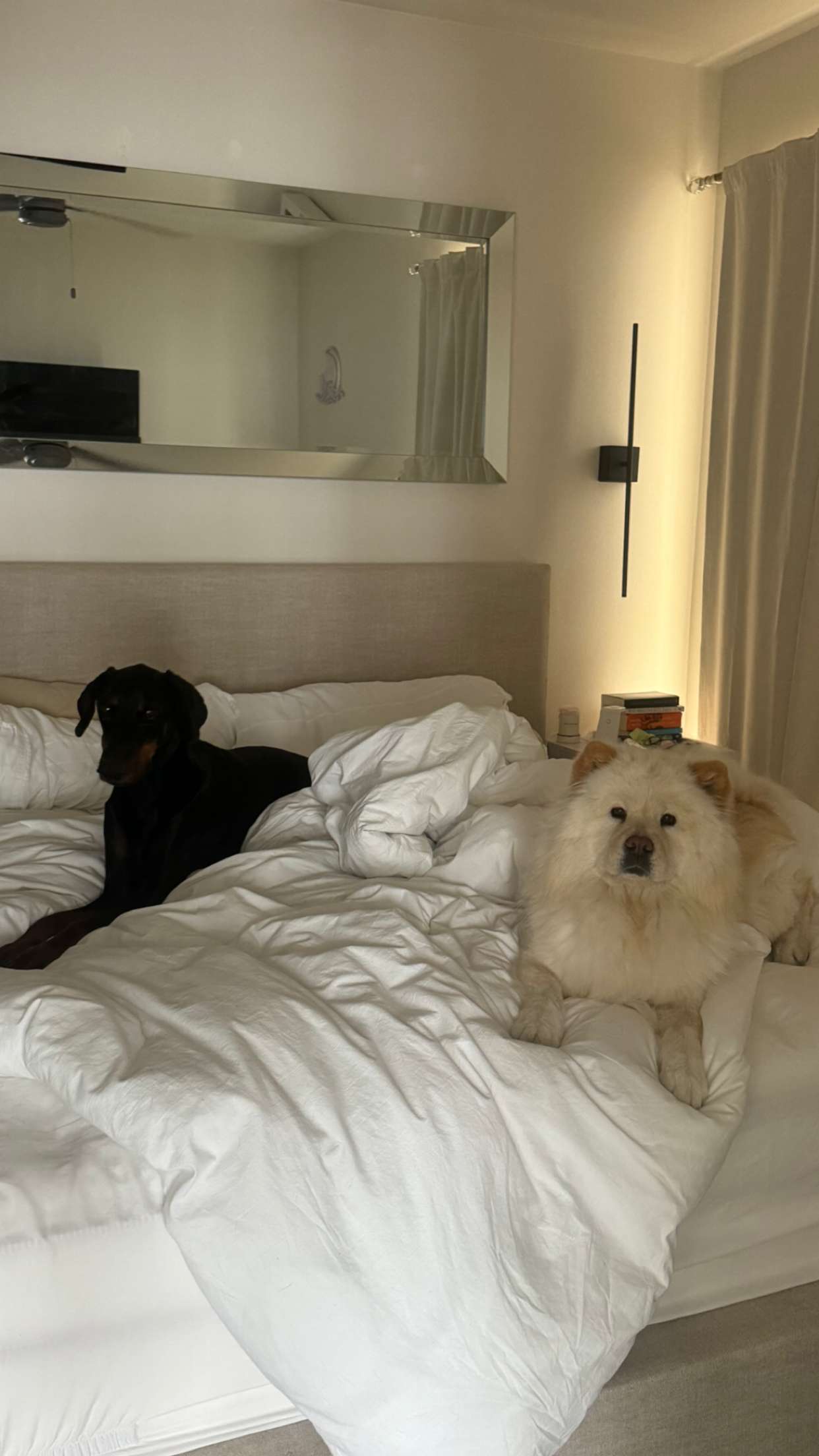 chloerosenbaum snapchat image archive image