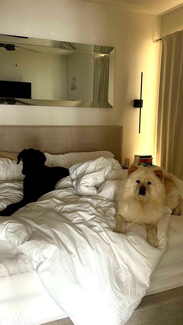 chloerosenbaum image ~ Altpins