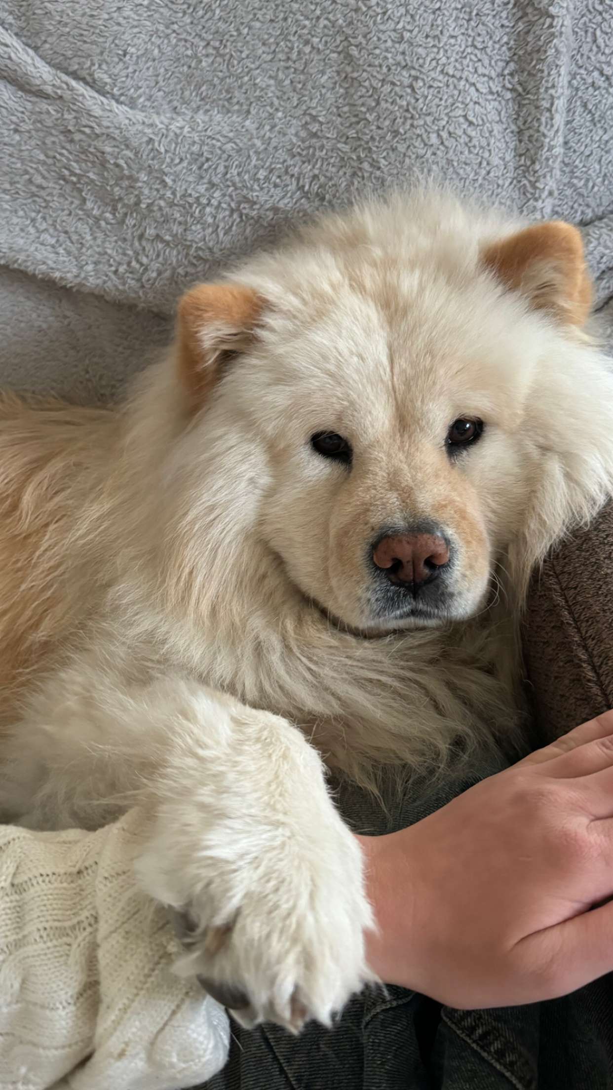 chloerosenbaum snapchat image archive image