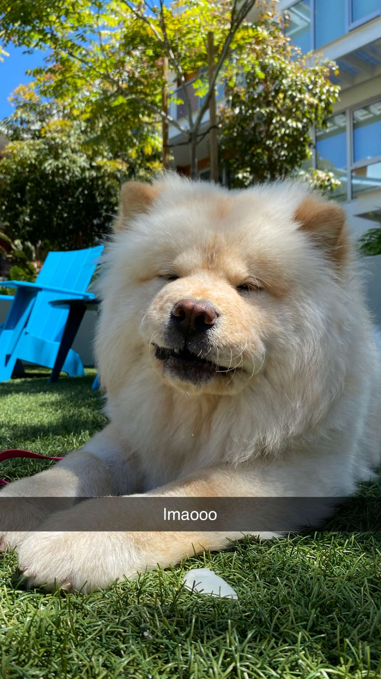 chloerosenbaum snapchat image archive image