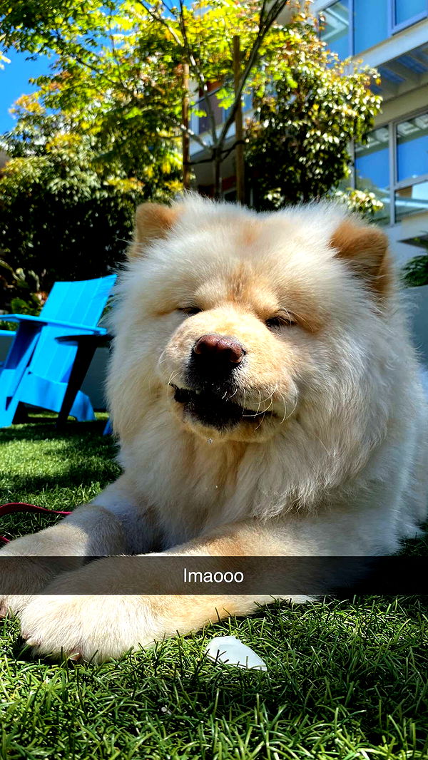 chloerosenbaum image ~ Altpins