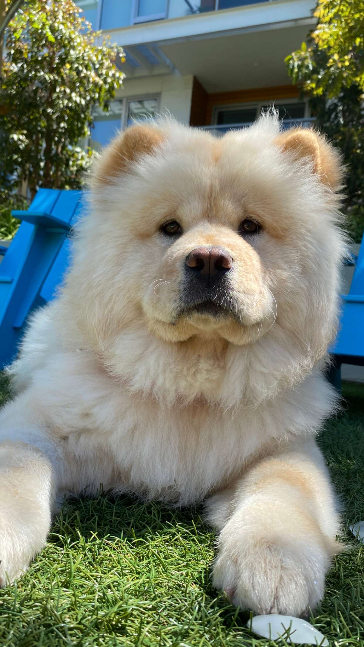 chloerosenbaum snapchat image archive image