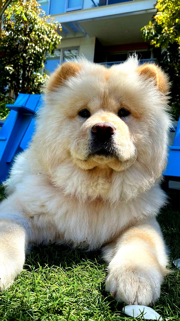 chloerosenbaum image ~ Altpins