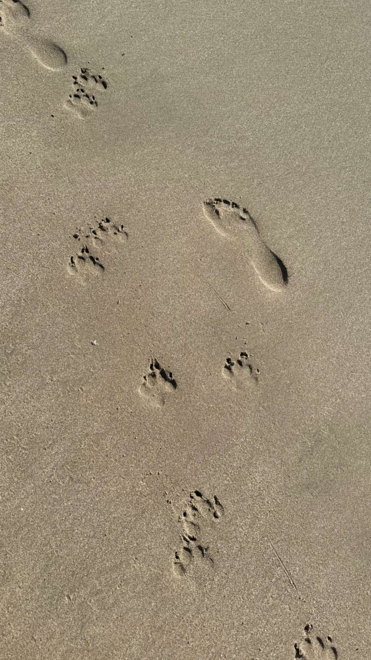 chloerosenbaum snapchat image archive image