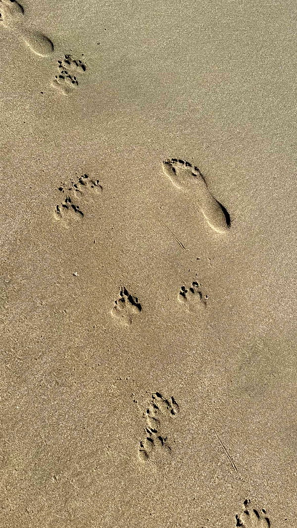 chloerosenbaum image ~ Altpins