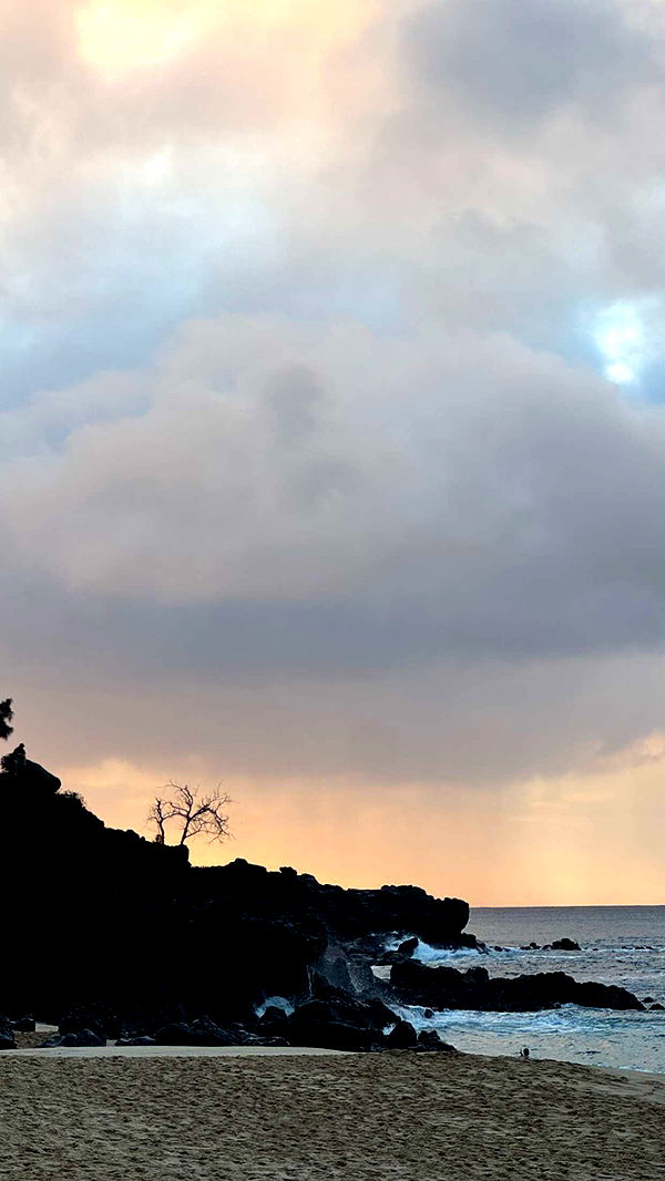 chloerosenbaum image ~ Altpins