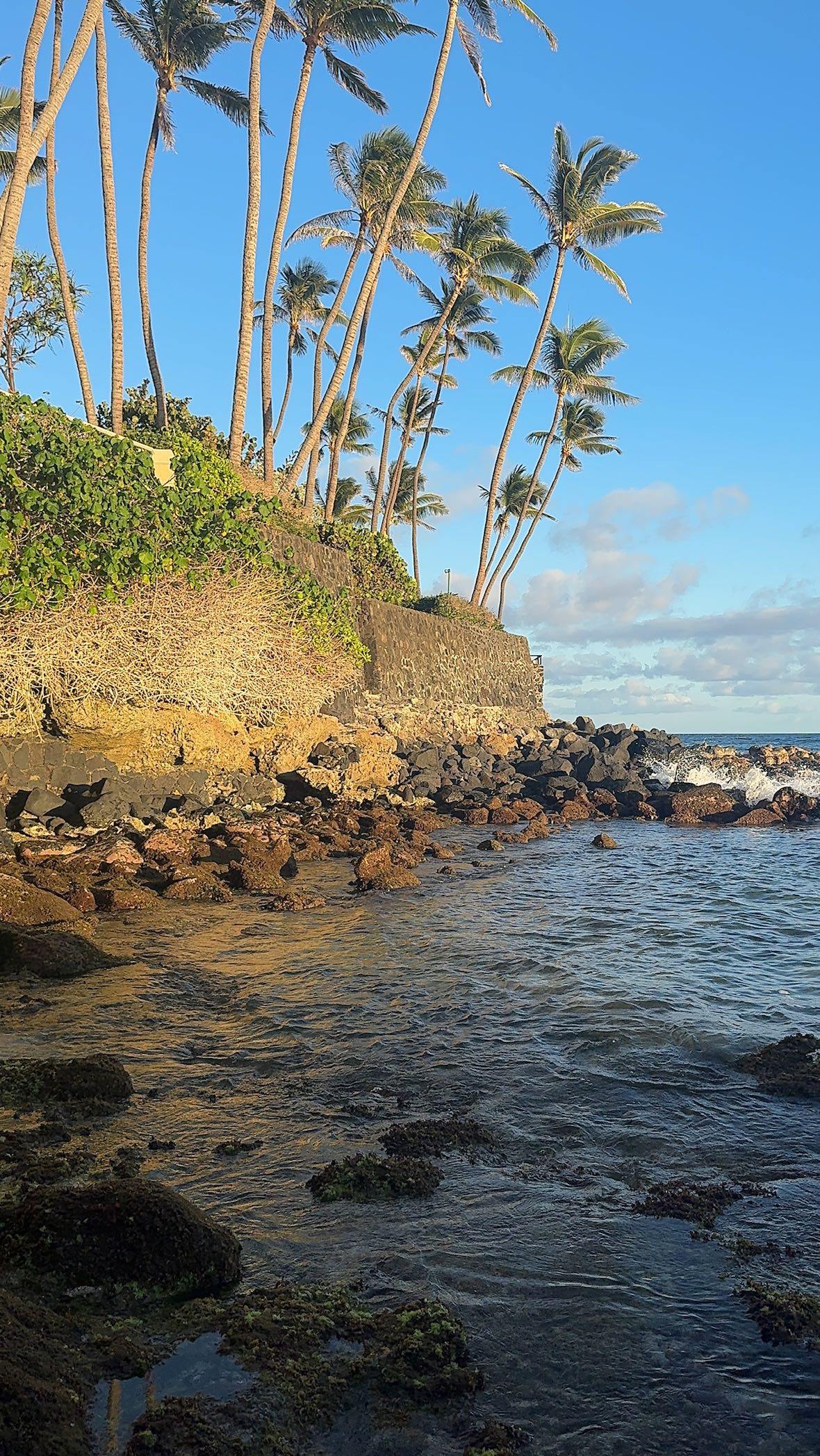 chloerosenbaum snapchat image archive image