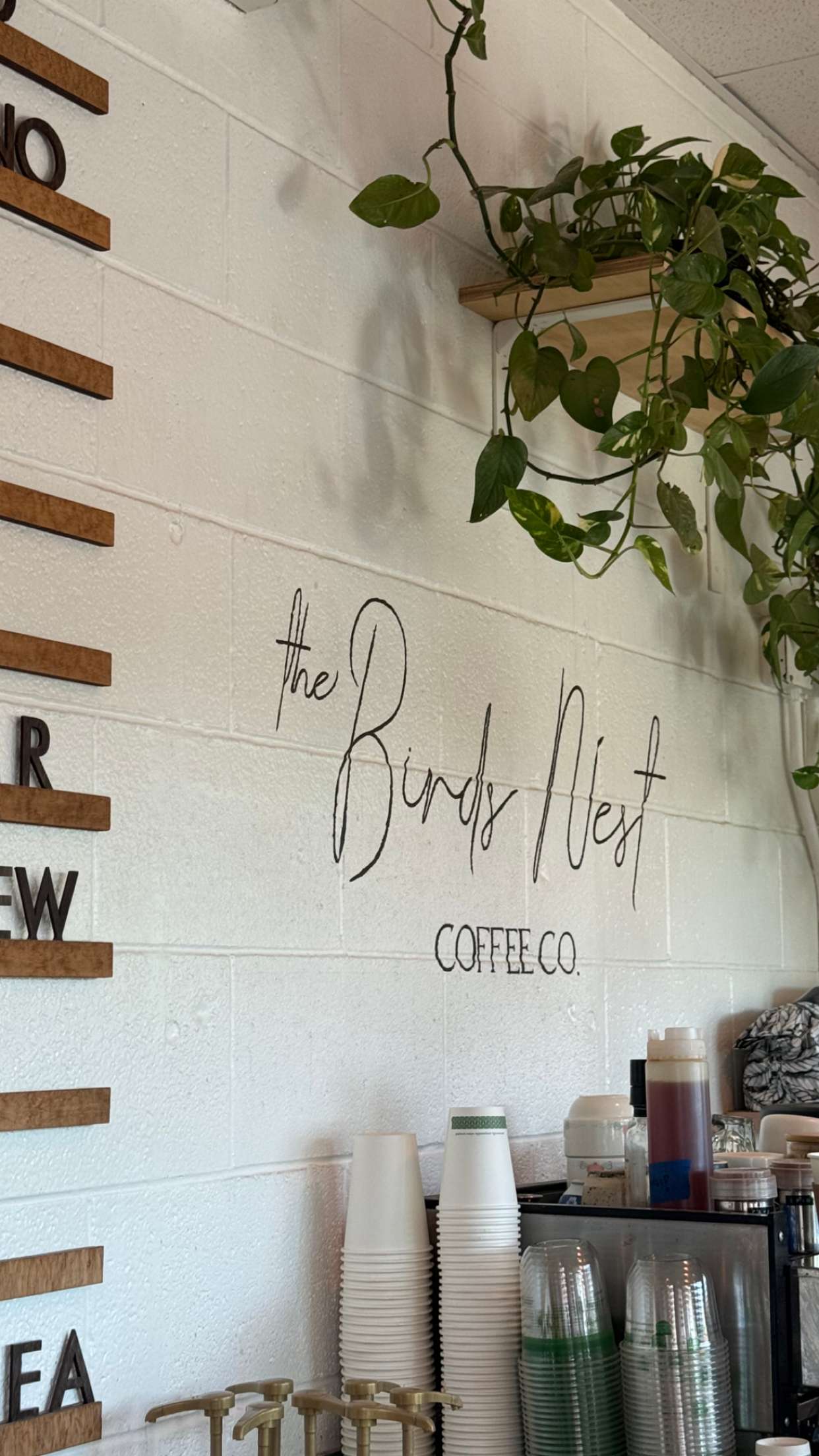 chloerosenbaum snapchat image archive image