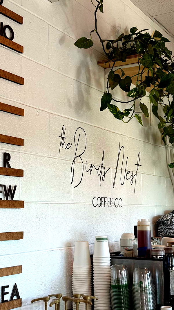 chloerosenbaum image ~ Altpins