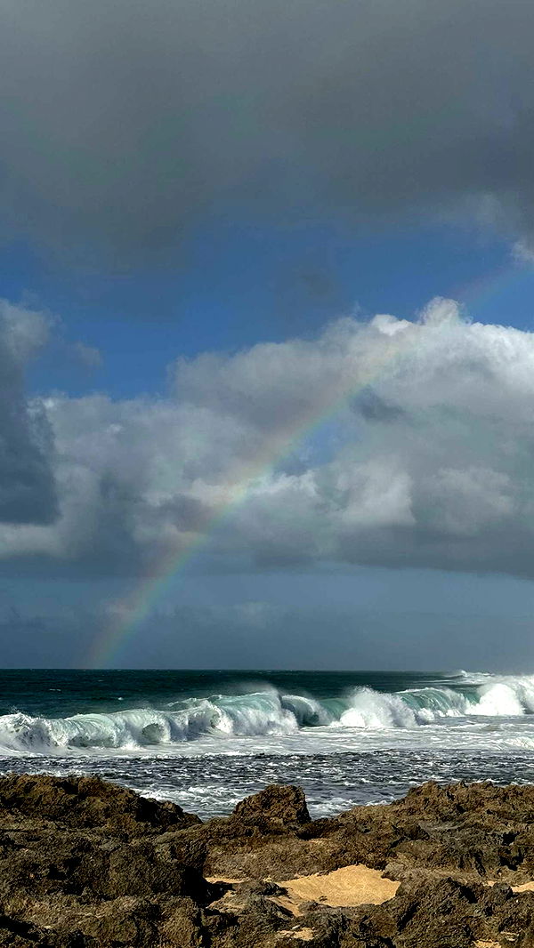 chloerosenbaum image ~ Altpins