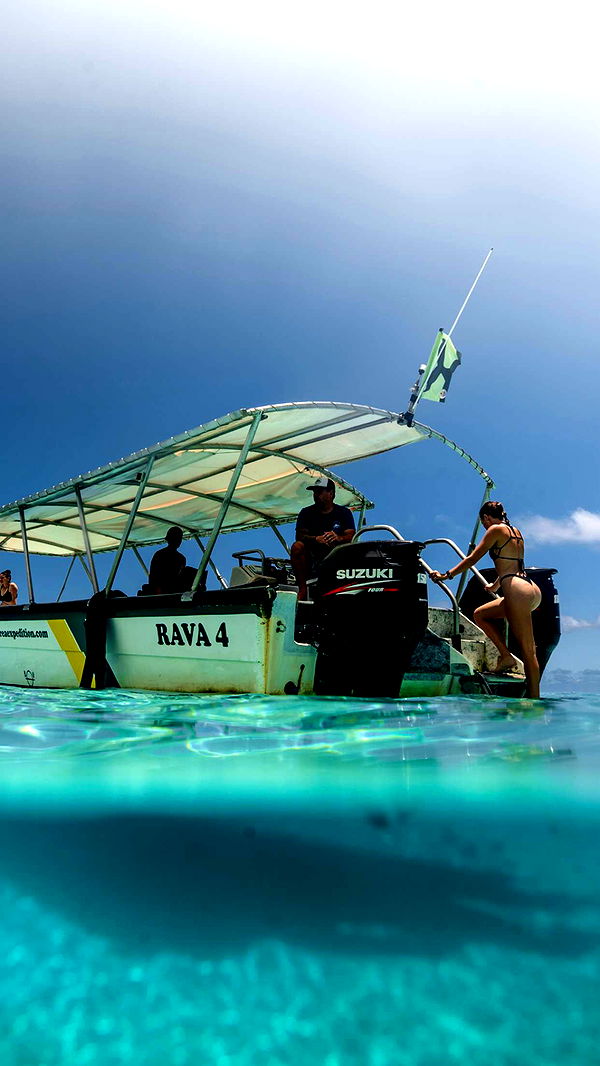 chloerosenbaum image ~ Altpins