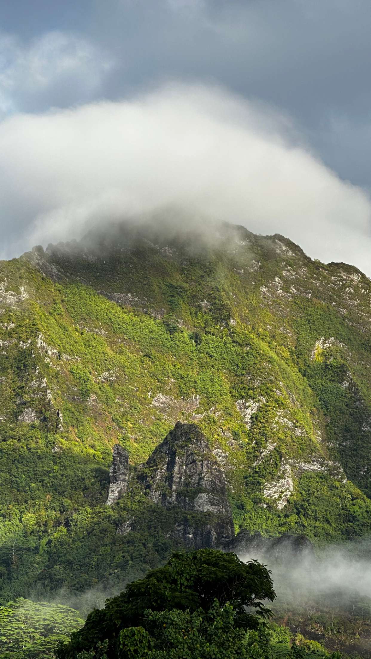 chloerosenbaum snapchat image archive image