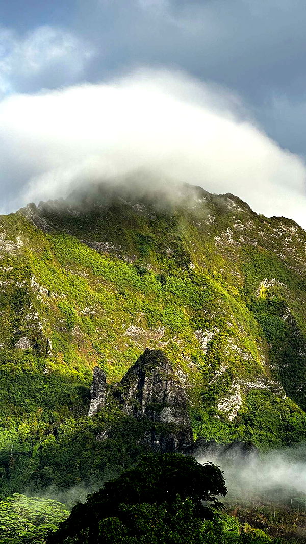 chloerosenbaum image ~ Altpins