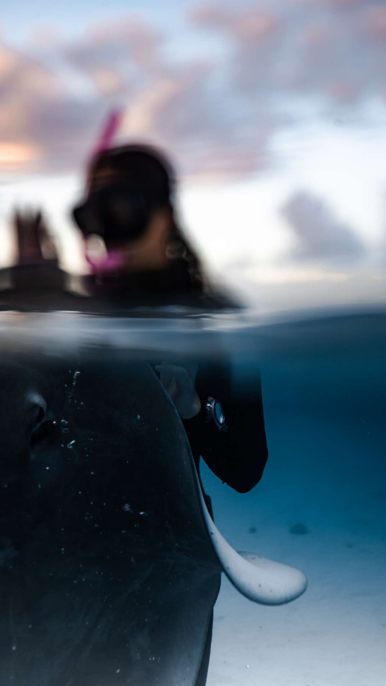 chloerosenbaum snapchat image archive image