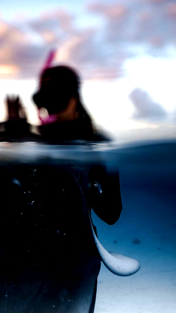 chloerosenbaum image ~ Altpins