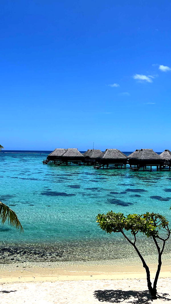 chloerosenbaum image ~ Altpins