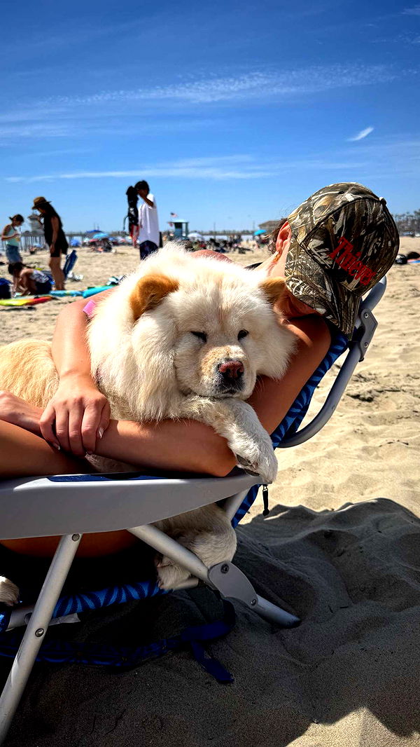 chloerosenbaum image ~ Altpins