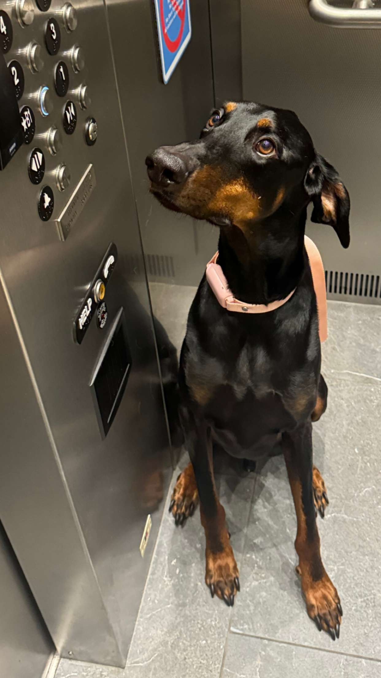 chloerosenbaum snapchat image archive image