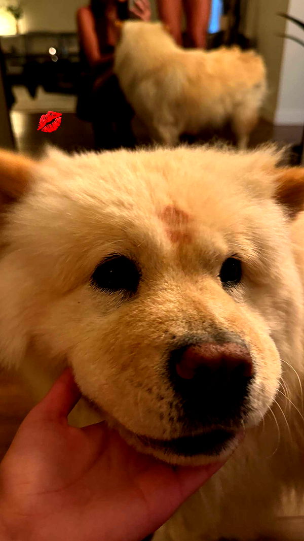 chloerosenbaum image ~ Altpins