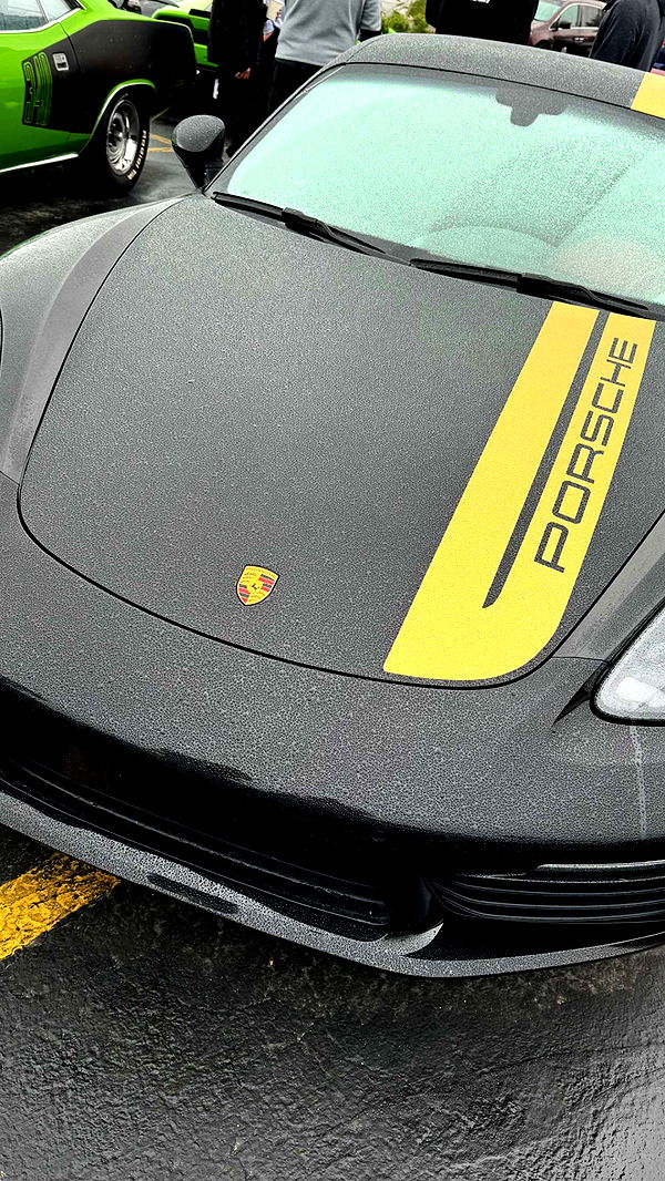 chloerosenbaum image ~ Altpins