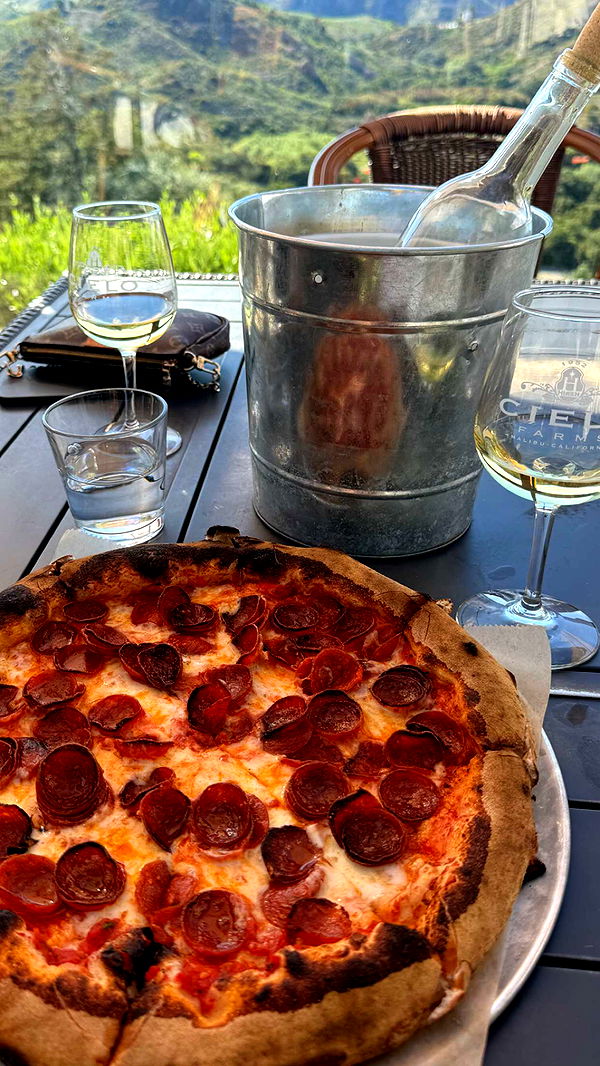 chloerosenbaum image ~ Altpins