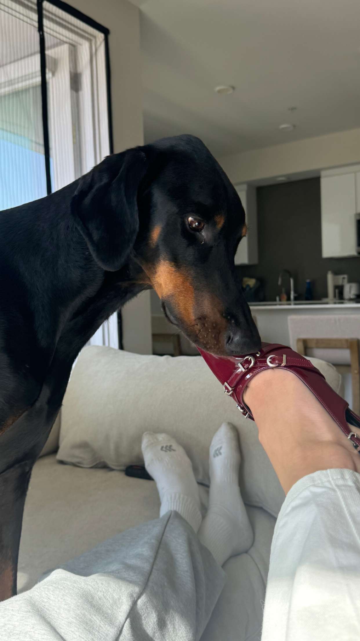 chloerosenbaum snapchat image archive image