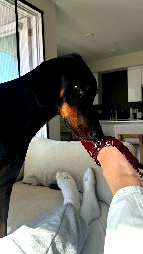 chloerosenbaum image ~ Altpins