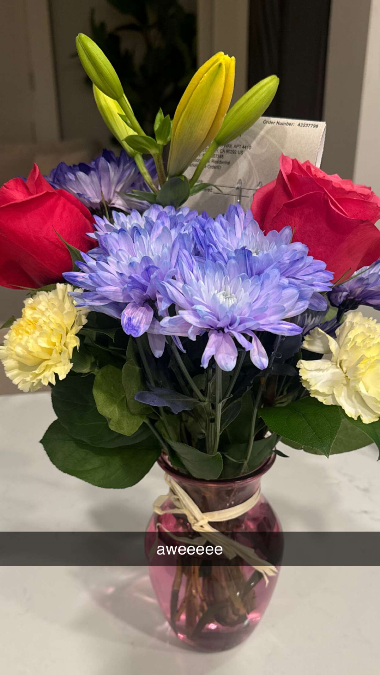 chloerosenbaum snapchat image archive image