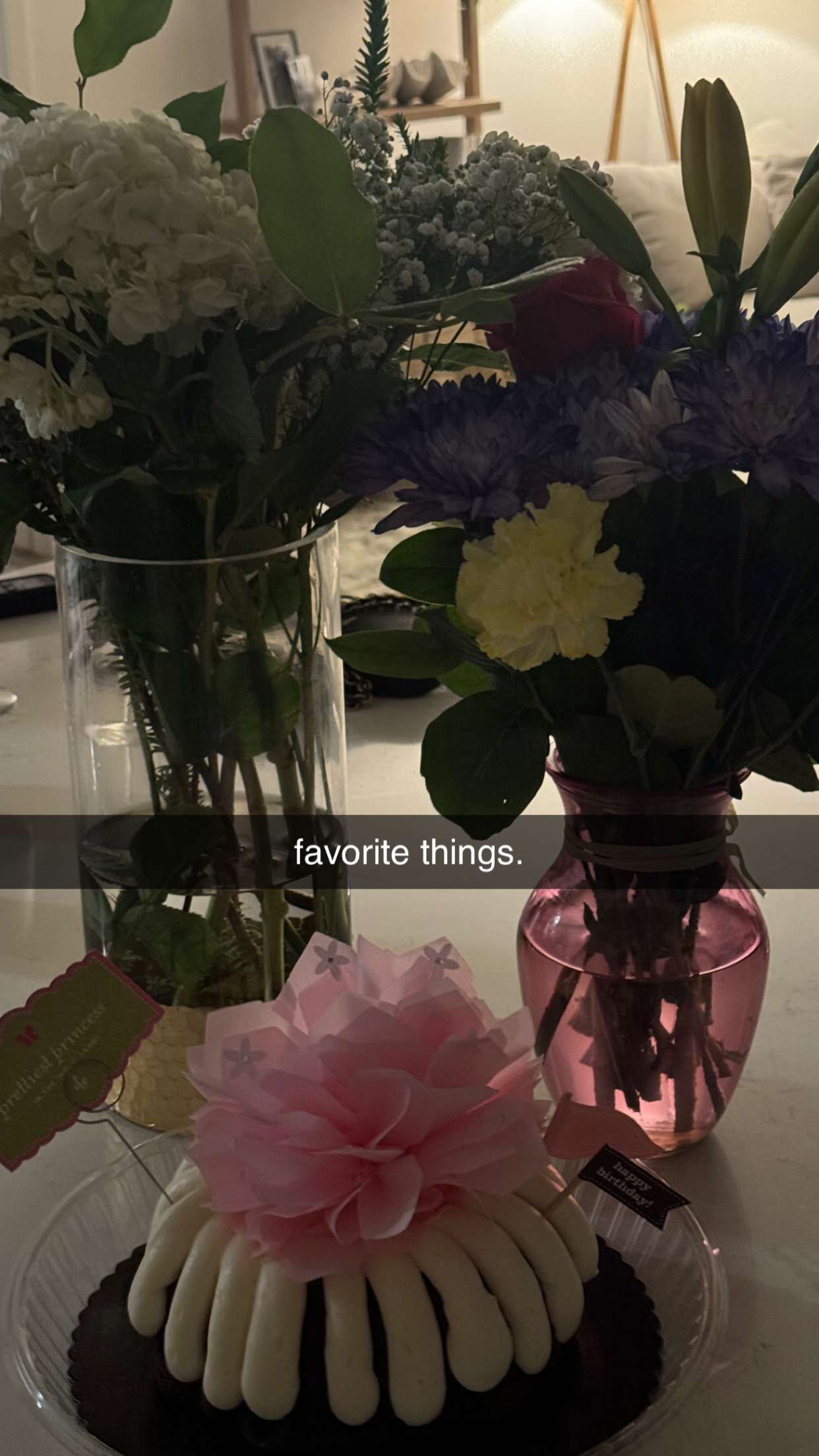 chloerosenbaum snapchat image archive image